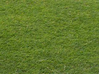 {short description of image}